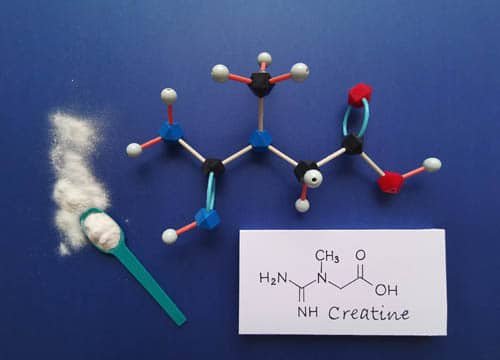 que es la creatina y cual es su molécula