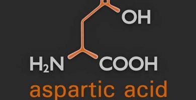 que es el acido aspartico y para que sirve