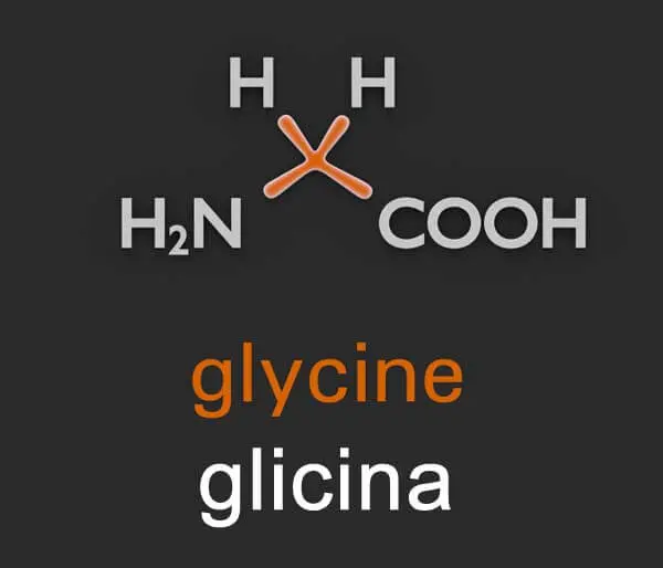 que es la glicina beneficios y suplementos