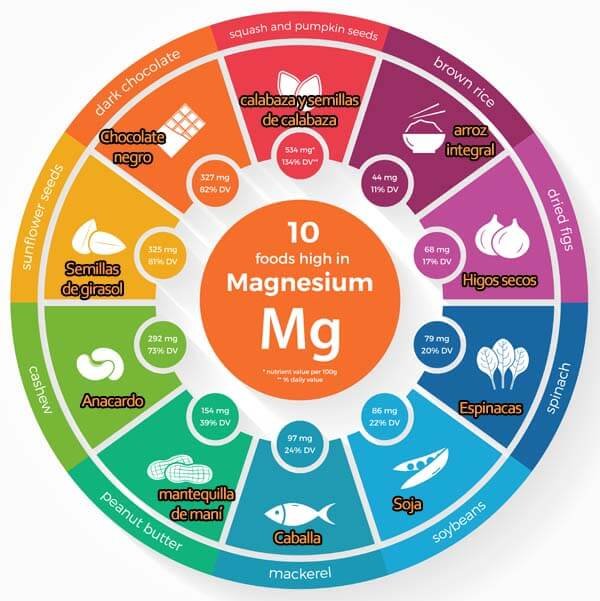 rueda de alimentos que contienen magnesio