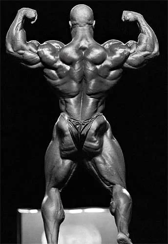 espalda de Phil Heath