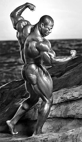 Shawn Rhoden pose biceps espalda