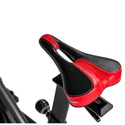 Schwinn IC8 mit asiento