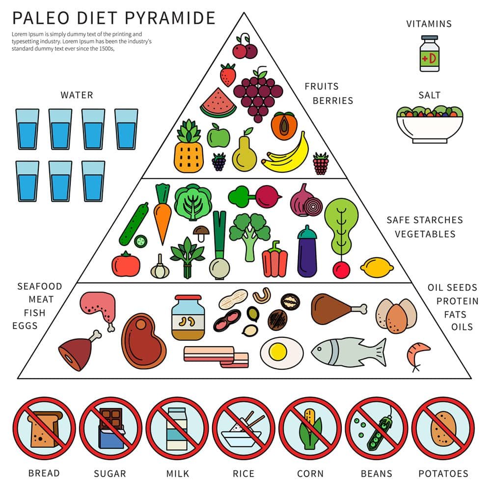piramide alimenticia de la dieta paleo