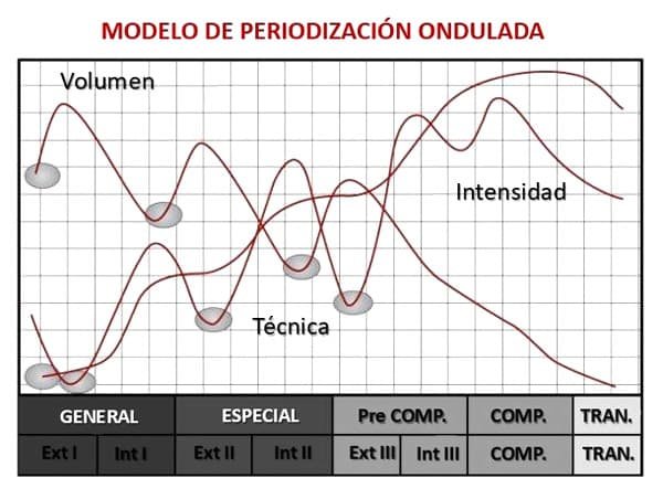 Planificación cíclica del entrenamiento modelo periodizacion ondulada