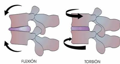 flexion torsion columna vertebral